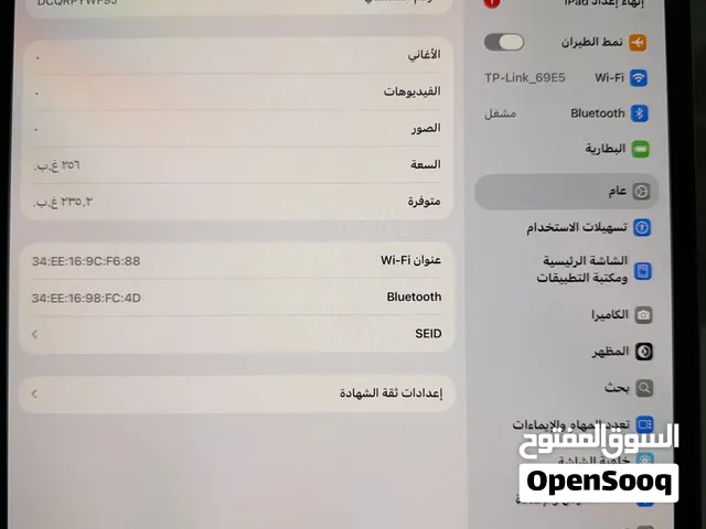 Apple Others 256 GB in Muscat