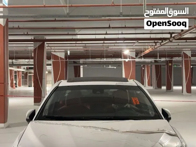 مراوس دعاميات شكل التي ار دي
