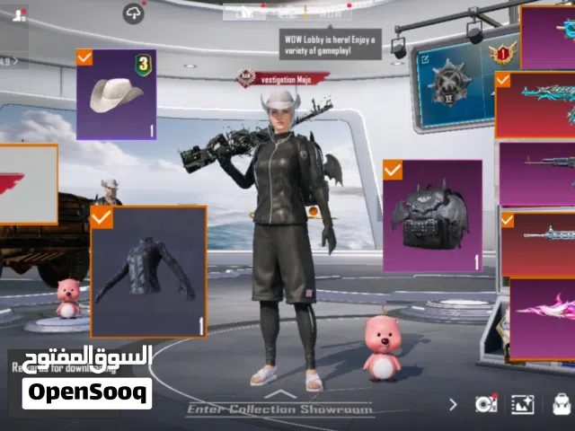 Pubg Accounts and Characters for Sale in Dubai