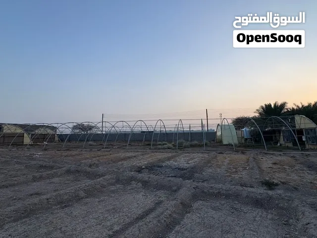 بيت محميه للبيع