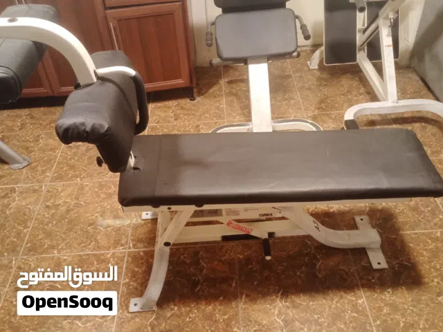 معده سايبكس