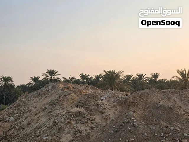 تربة شبه زراعية المعبيلة الشمالية