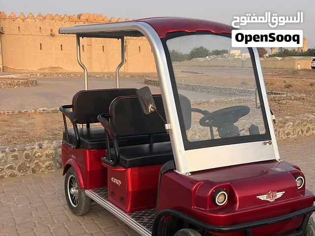electric golf cart buggy 60V