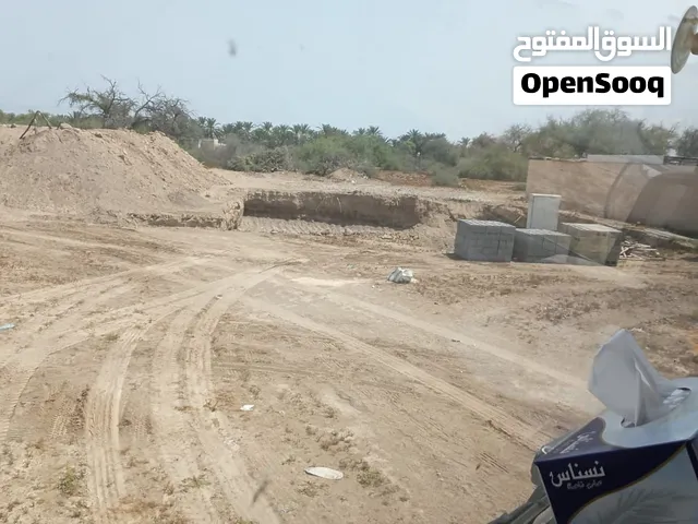 بيت قيد الانشاء السوادي الطماطم