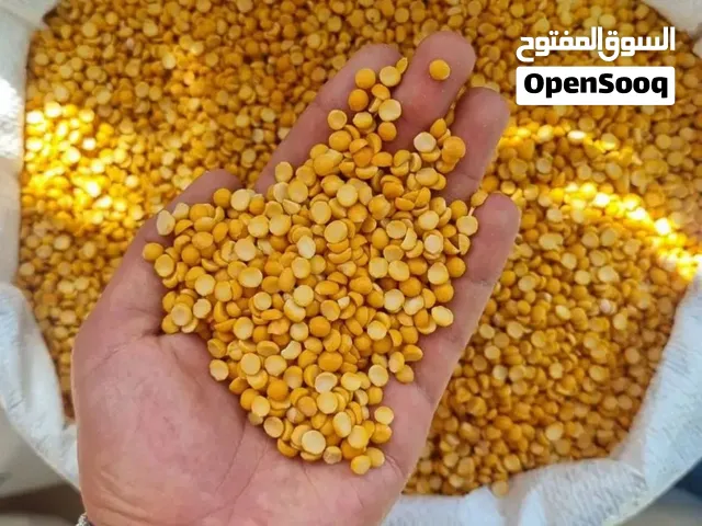 زعفران ايراني  كنم شامي  الزبيب