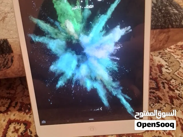 iPad mene2013