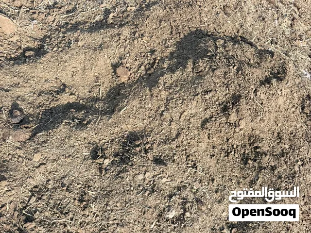 سماد بقر وغنم مخلوط