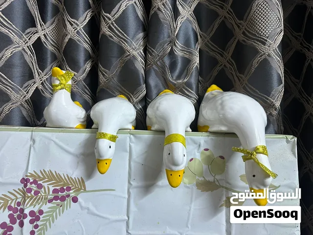 للبيع اسعار مناسبه جذا
