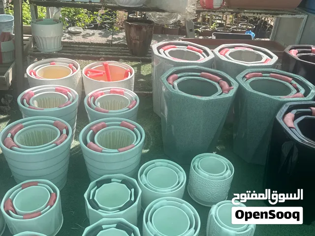 بوتات للنباتات الداخلية ر الخارجية