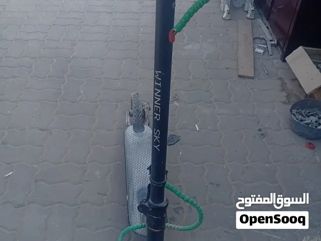 Winner sky  electric scooter