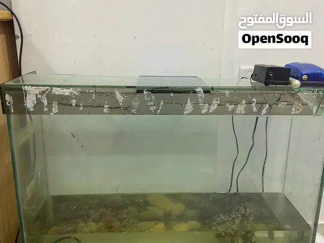 حوض سمك مستعمل