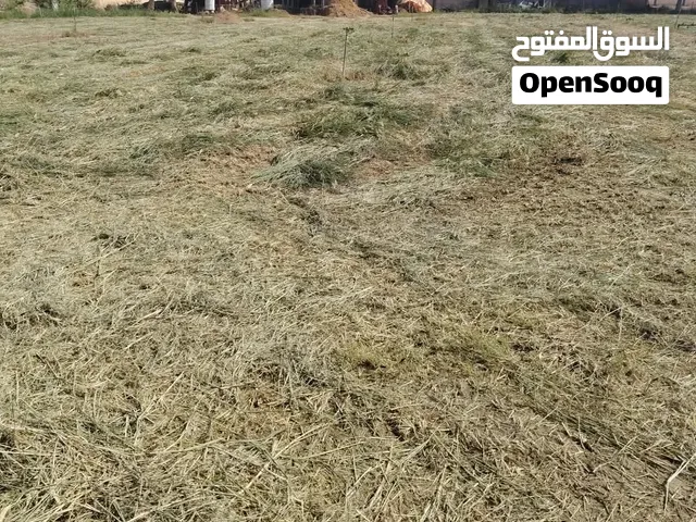حشيشه ناعمه للبيع