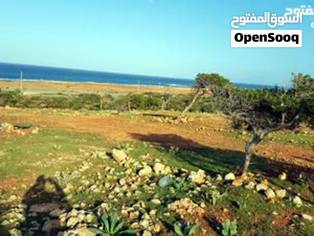 1000 م  غرب مدخل كرسة بمسافة 1 كم ..