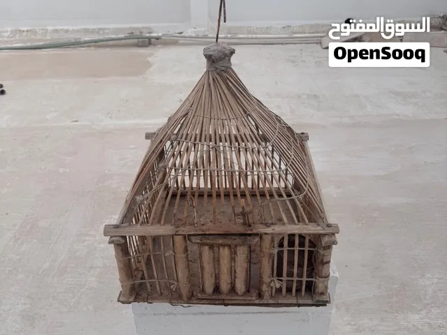 للبيع قفص صفارد