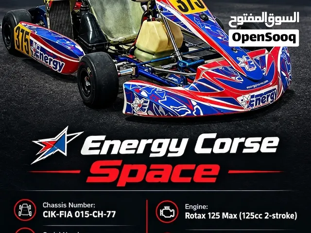 Energy Corse Racing Kart – Rotax 125 Senior Max EVO Engine & MyChron4 Included