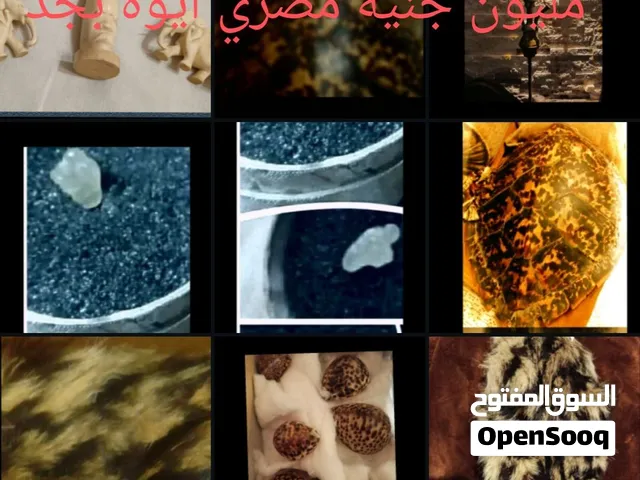 تحف من أرقى أنواع الديكورات