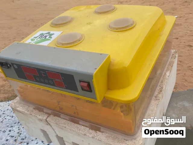 حضنه بيض كهرباي