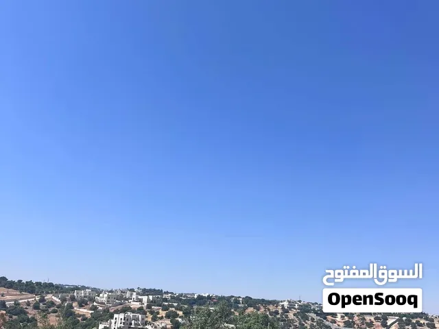 بدر الجديدة حوض الشراب طلاله بنوراما على شارعين