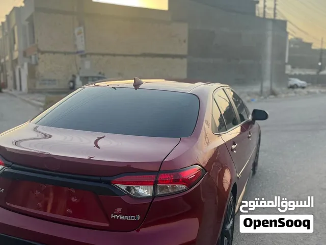تيوتا كورلا 2024 ماروني