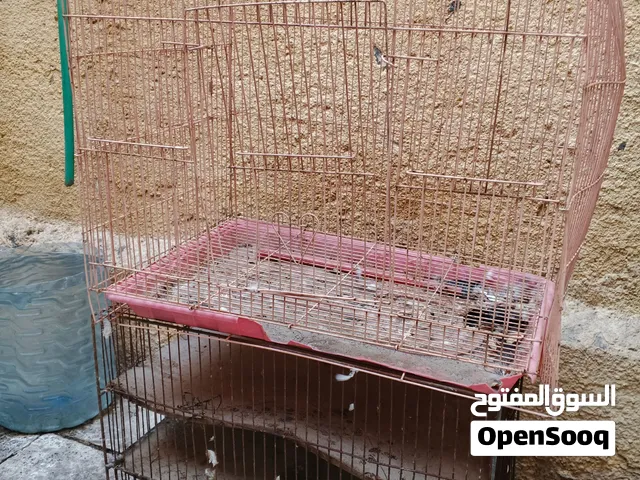 قفص طيور و قفص نقل مال طيور ثنينهم ب 5 الف