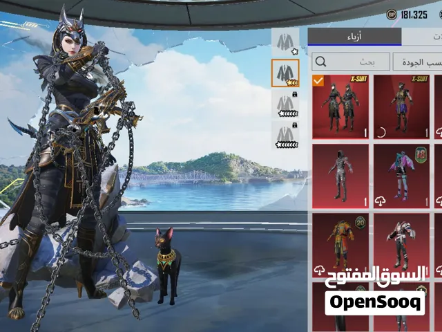 Pubg Accounts and Characters for Sale in Matn