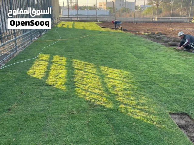 العشب الطبيعي الجوده العاليه