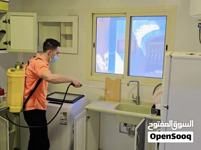 شركة مكافحة حشرات رش مبيدات رش صراصير نمل ابيض وزغ شركة مكافحة افات جرذان فئران الدمام الخبر الاحساء