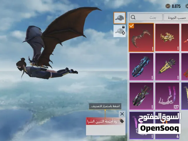 Pubg Accounts and Characters for Sale in Irbid