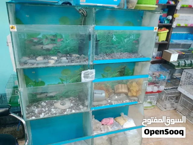 واجهة سمك بالأضافة لأحواض
