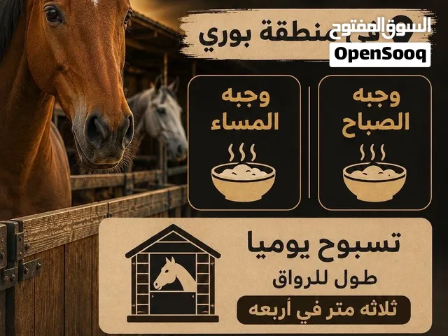 رواق تأجير للخيل