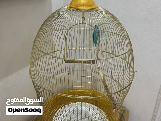 Bird cage big