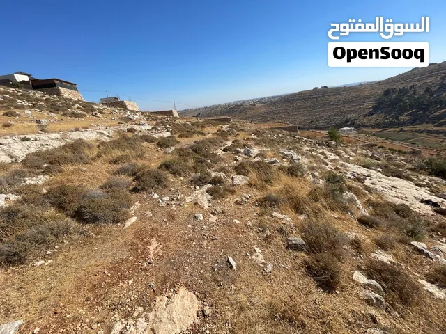 سعر حرق علكاش