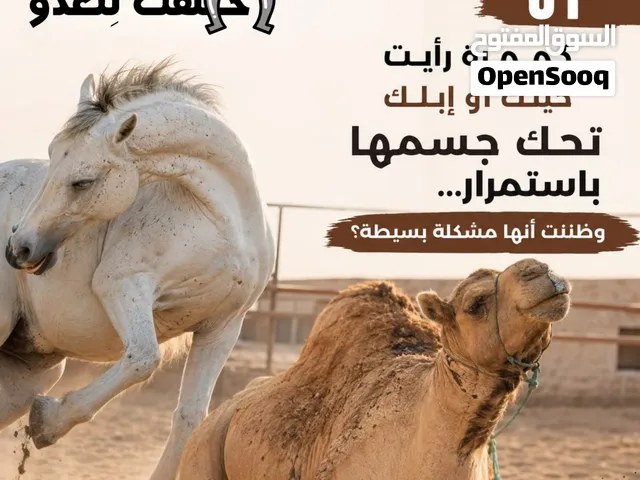 زيت هوكاجي لعلاج المشاكل الجلدية لدى الخيل والابل