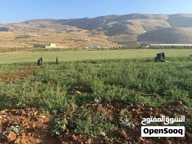 ارض تصنيف أ كوشان طابو بموقع استراتيجي