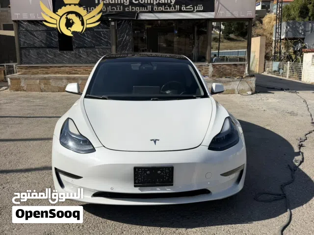 Tesla Model 3 Long Range Dual Motor ( Premium) 2021