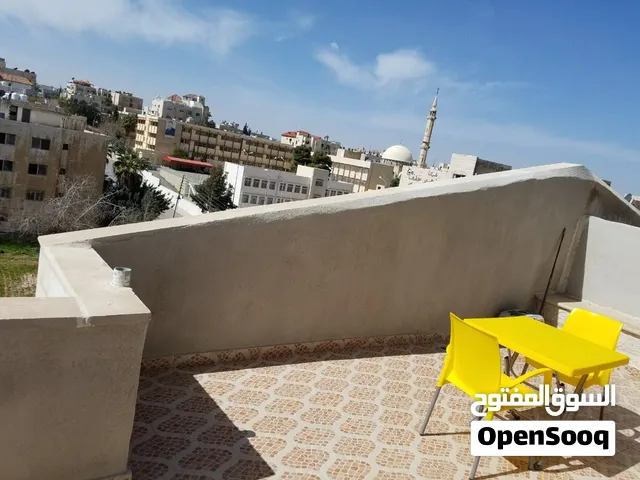 Furnished Rooftop Apartment  with Terrace for Rent
