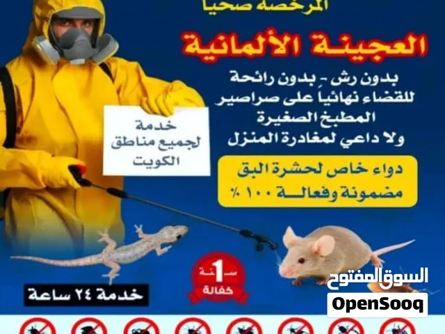 مكافحة حشرات جميع مناطق الكويت على مدار اليوم 24 ساعه باقل الاسعار صراصير المطبخ فيران بق الفراش