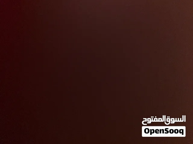 اقوم ب شراء جميع انواع الطيور بشرط ان يكونو كميات  بسعار طريه لي عندو وحاب يبيع يبعثلي