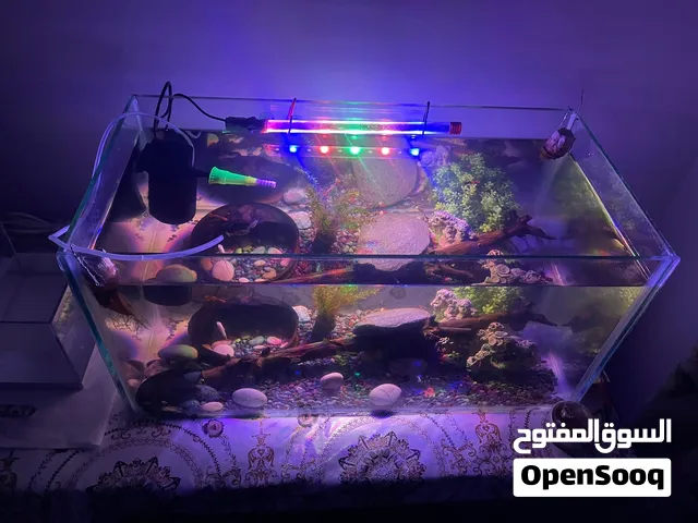FISH TANK FOR SALE