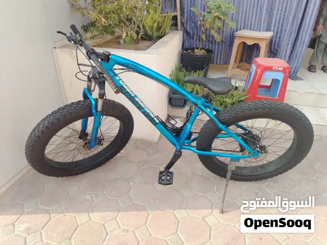 Bicycle for adult big tyres