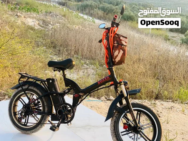 بسكليت كهربا