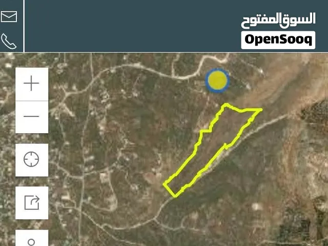 ارض عشر دونمات مشاع للبيع في عصيرة مناطق الف