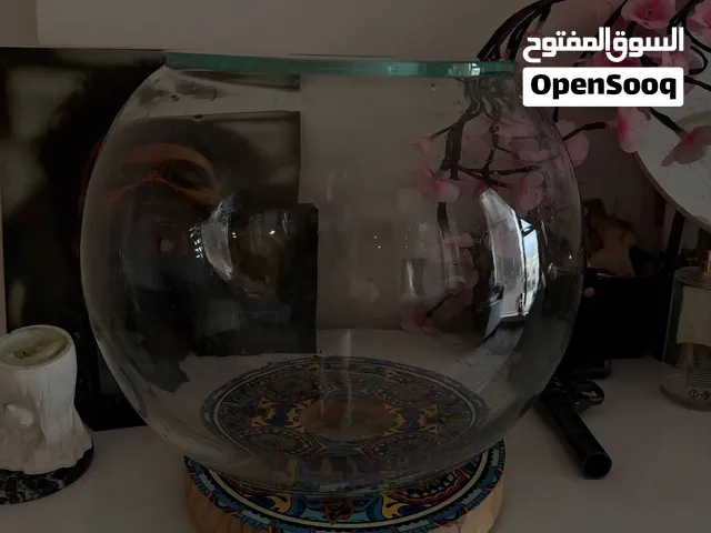 Large Glass Fish Bowl Aquarium with Rotating Wooden Stand