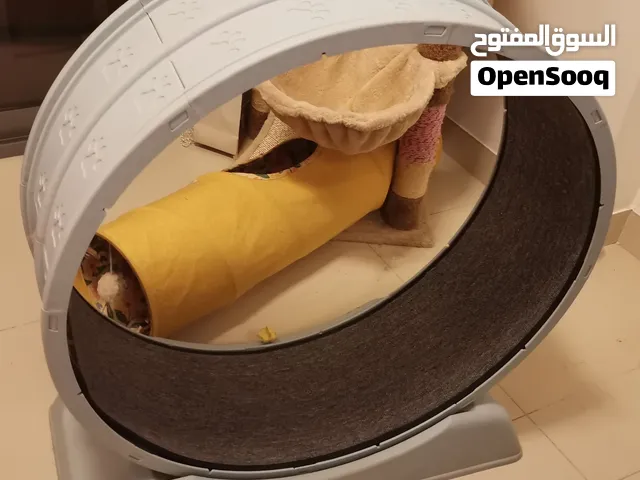 لعبة قطط للجري