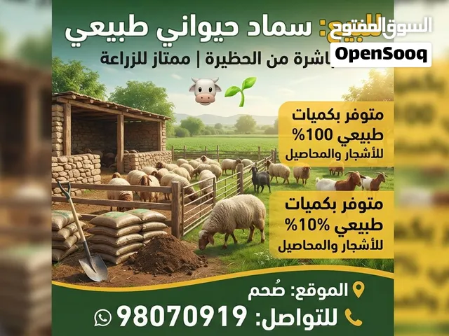 للبيع سماد حيواني متخرس من الحظيرة مباشرة