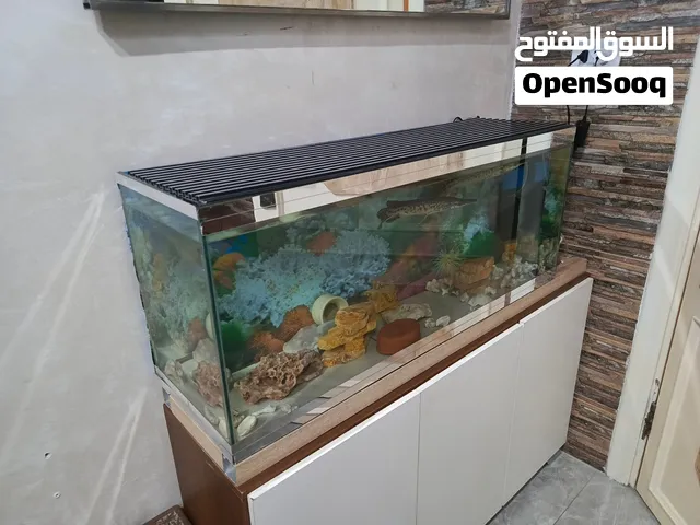 حوض سمك كرستال 100ب45ب30معاه بور هد و ضوء بدون الخزانه