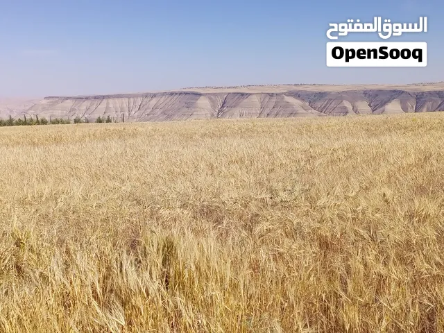 أرض زراعية مستوية تربة حمراء واصل جميع الخدمات، منطقة مزارع وشاليهات
