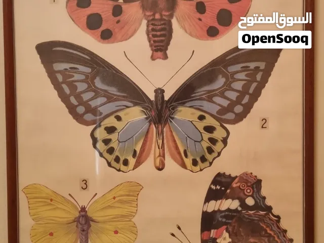لوحات حائط مستخدمة