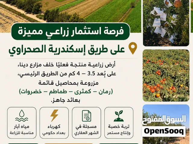 Farm Land for Sale in Alexandria Other