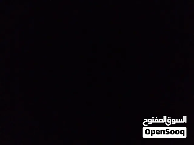 مطلوب دجاج باكستاني سندي العمر من 5 شهور الى 7 شهور